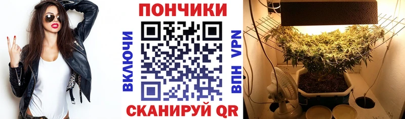 Бошки Шишки планчик  Купить  Ульяновск 